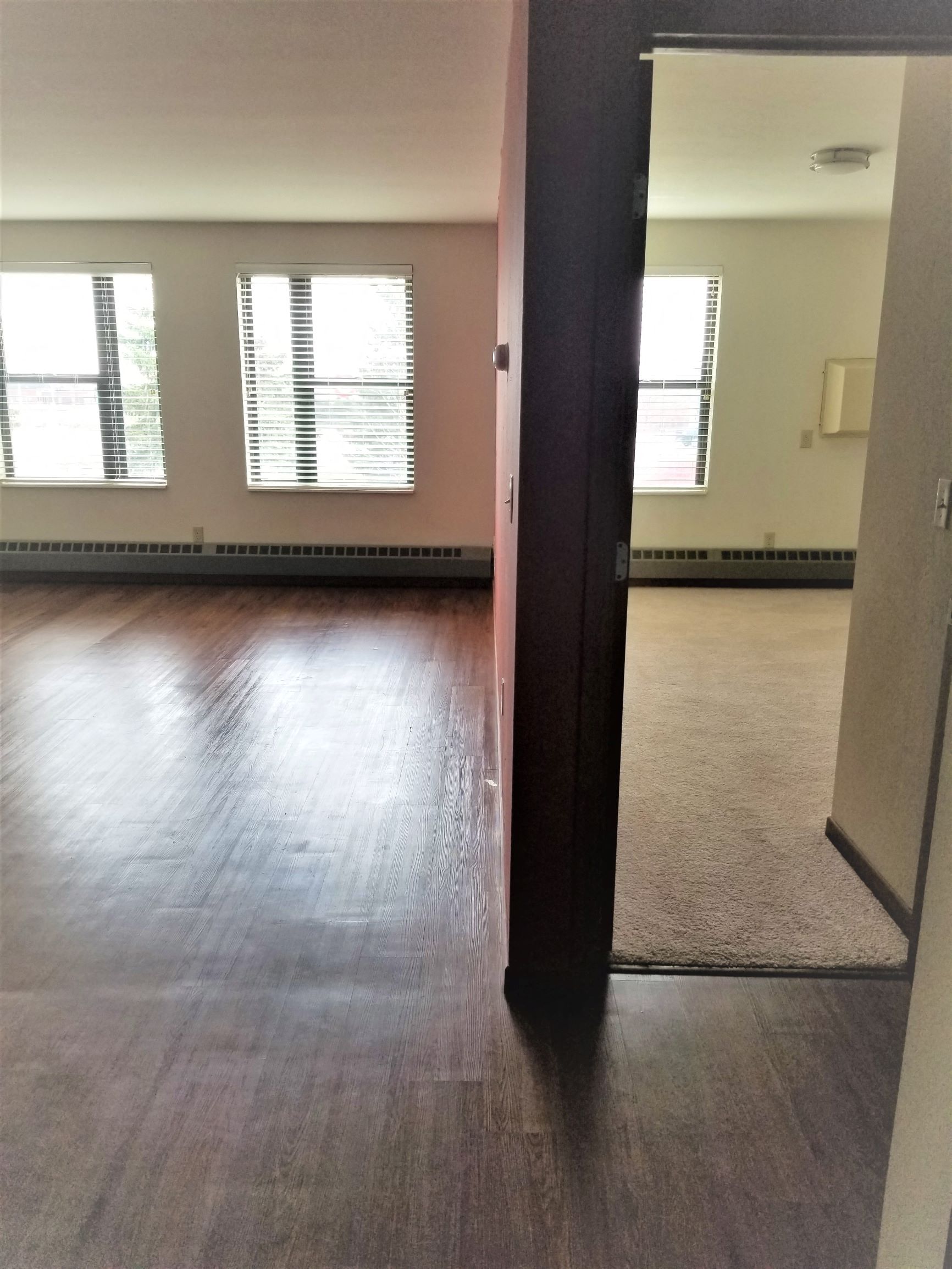 Sienna Green 1 Living Room and Bedroom View