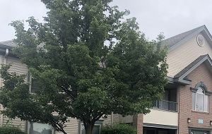 an apartment building on the corner of a street
