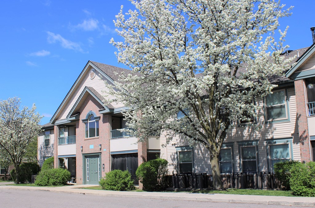 an apartment building with a flowering tree in front of it
