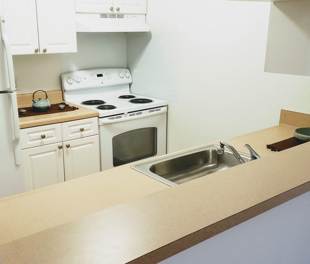 a kitchen with a sink and a stove and a refrigerator