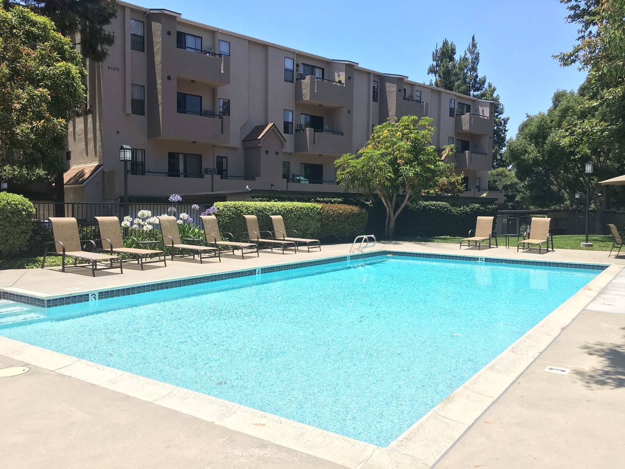 A swimming pool surrounded by lounge chairs and trees in front of a building.