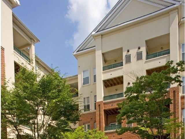 108 Olde Town Ave. Studio-2 Beds Apartment for Rent - Photo Gallery