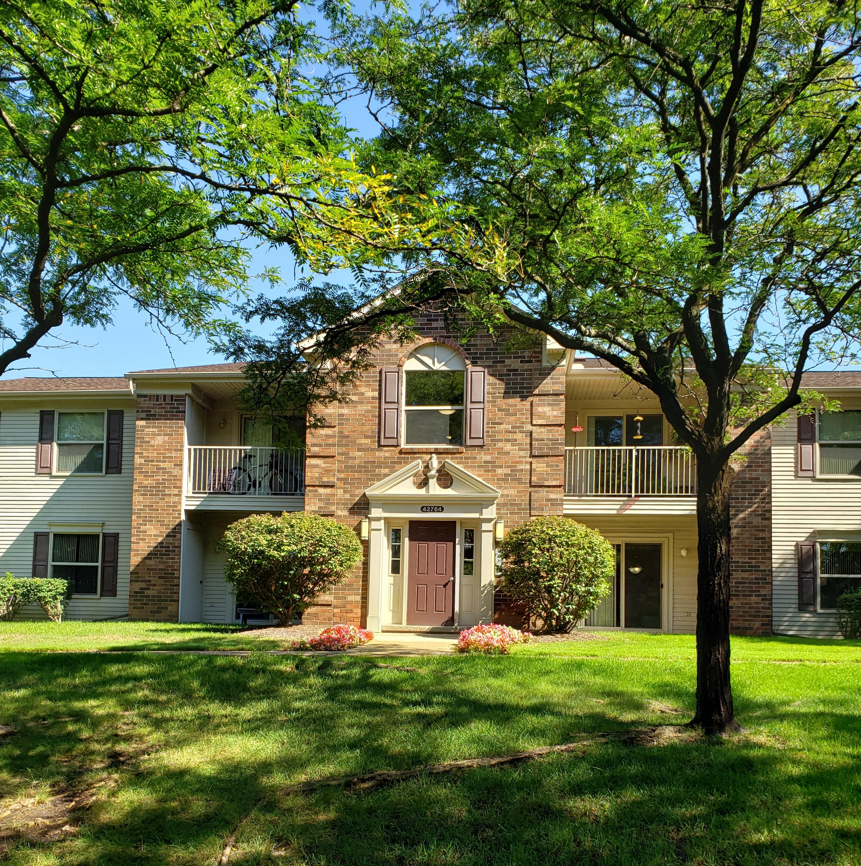 Beautiful Mature Trees!