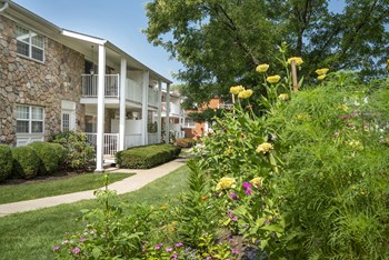 25 Hickory Place 1-3 Beds Apartment for Rent - Photo Gallery 3