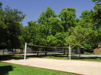 Ashford Park | Sacramento | Court