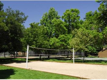 Ashford Park | Sacramento | Volleyball