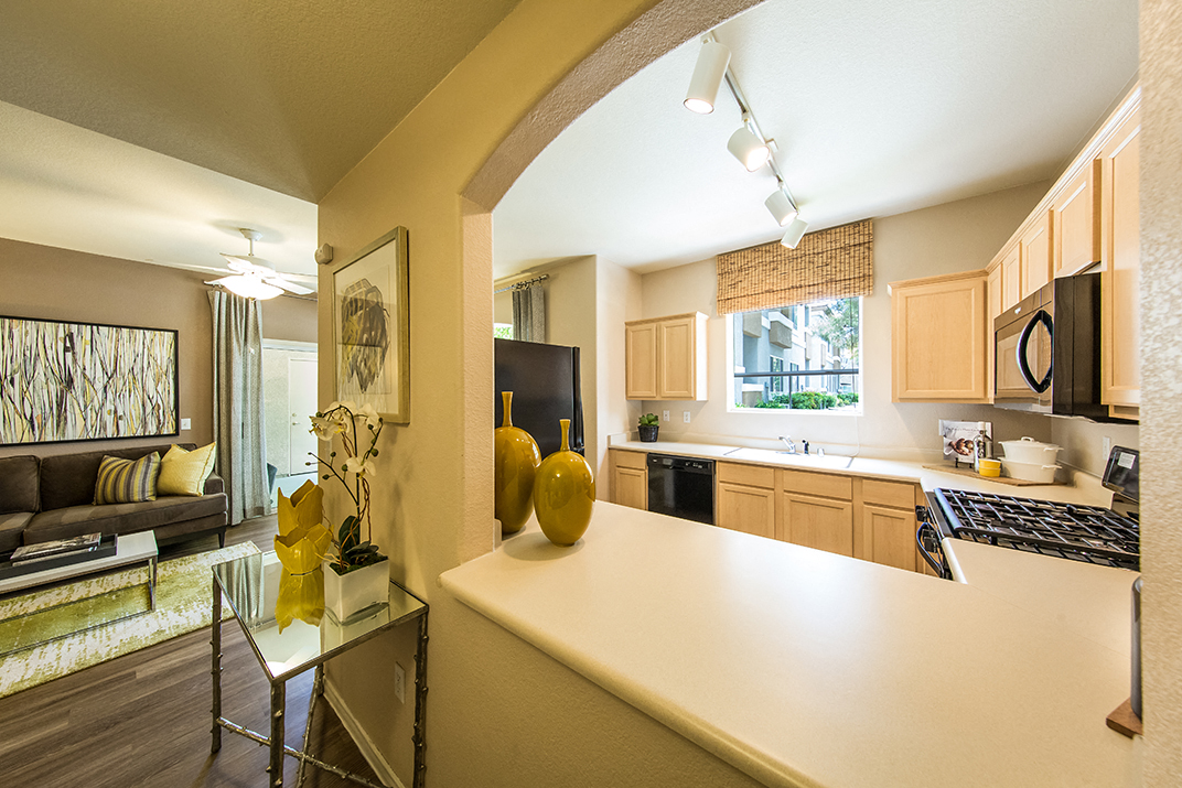 Living room and KItchen