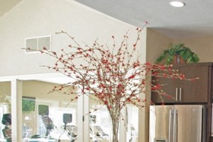 Clubhouse Clubhouse Seating and kitchen Hidden Creek Apartments for rent in Vacaville Ca