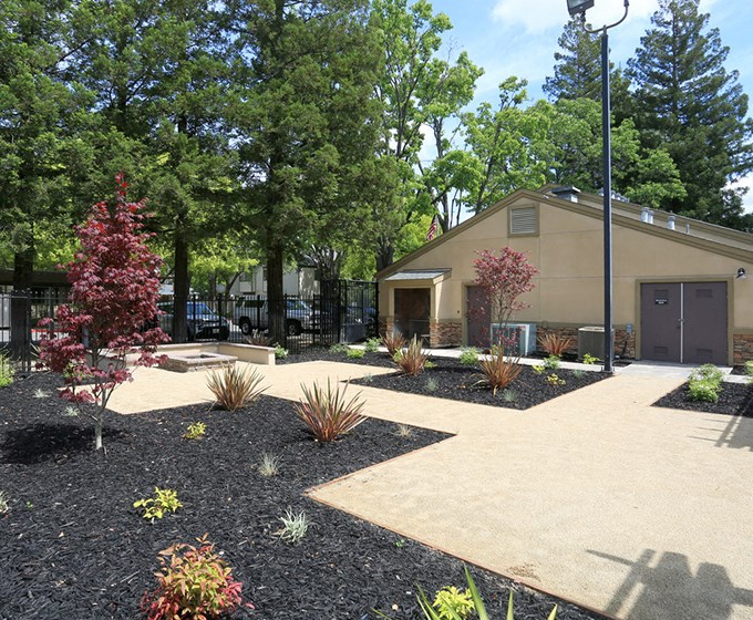 Landscape grounds Hidden Creek Apts rentals in Vacaville Ca 95687