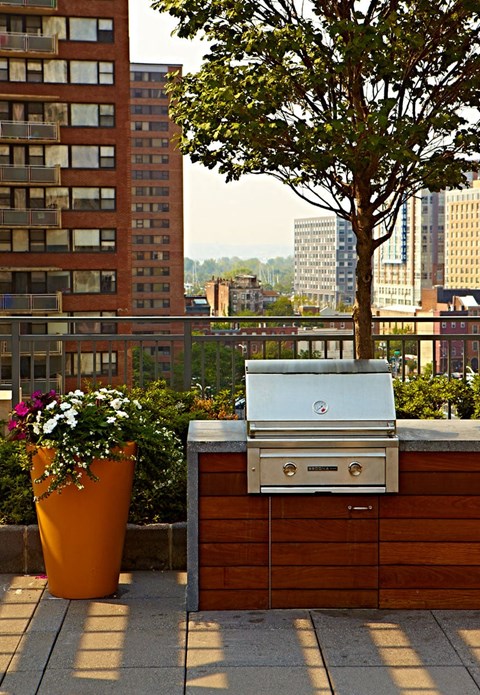 a stainless steel grill on a rooftop with a city in the background
