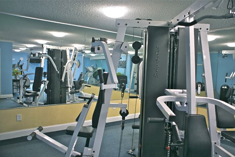 Fitness center equipped with weight machines and ellipticals.