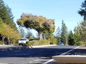 Apartments For Rent Near Gregory Gardens Elementary School