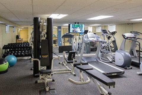 Fitness center equipped with weight machines, ellipticals, indoor bikes, treadmills, dumbbells, exercise balls, and a television set.