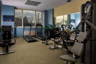 Exercise room equipped with treadmills, indoor bikes, weight machines, and a television set.