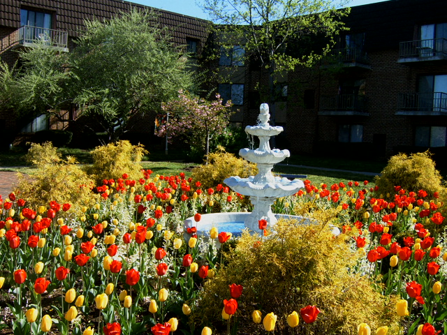 Fountain Gardens
