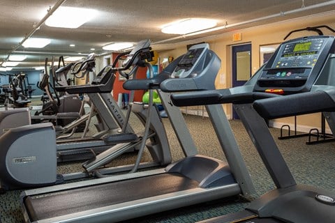 Cardio equipment in the fitness center