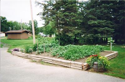 a vegetable garden in a yard next to a road