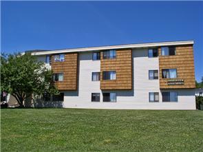 a white building with a tree in front of it