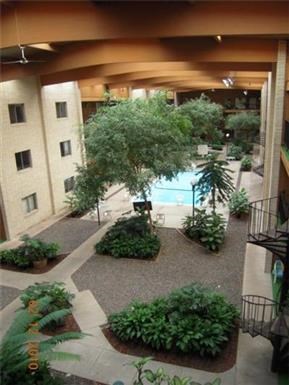 an overhead view of a lobby with a pool and trees