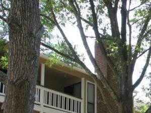 Cary Luxury Apartments Cary Luxury Apartments