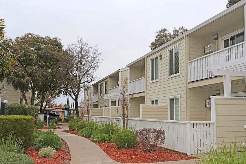 Exterior buildings view with sidewalkl Park Brentwood CA Apartments for rent