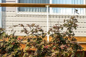 university gardens leasing center exterior green awning - Photo Gallery