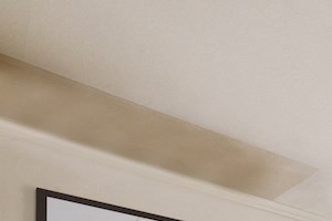 university gardens living room - Photo Gallery