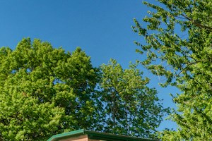 university gardens outdoor swimming pool