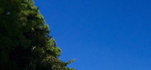 Spyglass at Cedar Cove Apartments | Apartments in Lexington Park, MD