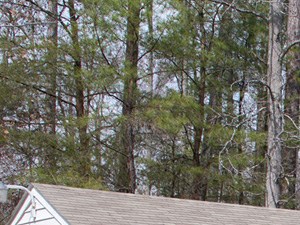 Photos and Video of Spyglass at Cedar Cove Apartments in Lexington Park, MD