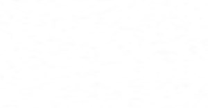 Newport Apartments Logo - 3466 N Belt Line Rd, Irving, TX 75062 Newport Apartments Logo - 3466 N Belt Line Rd, Irving, TX 75062
