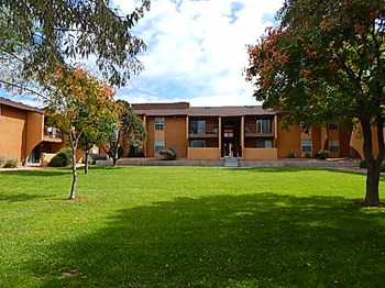 Sierra Meadows Apartments l Grassy Area large grass area and apt building Albuquerque NM Apartments For Rent l Sierra Meadows Apartments - Photo Gallery 3