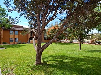 Sierra Meadows Apartments l Grass Area large grass area and apt building Albuquerque NM Apartments For Rent l Sierra Meadows Apartments - Photo Gallery 4