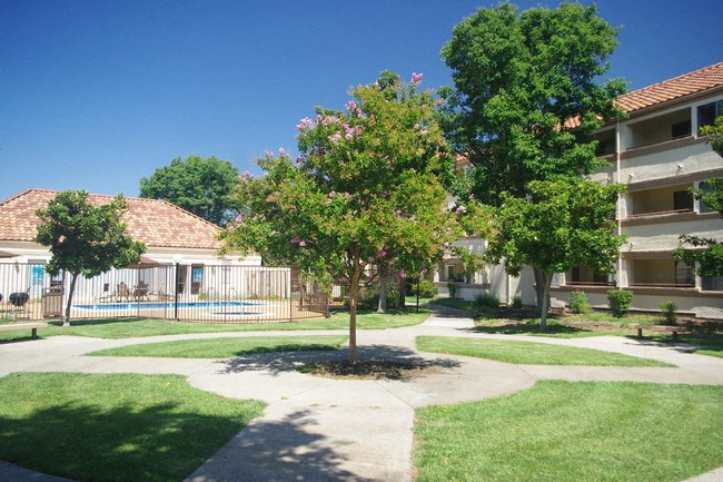 Exterior building with view of grass courtyard l Somerset Apartments in Antioch CA