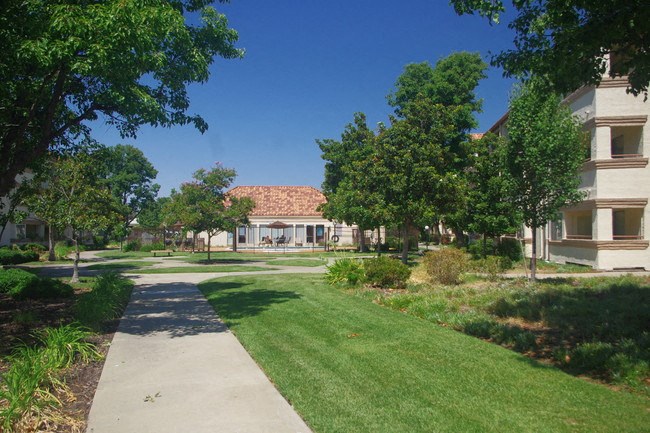 Sidewalk near grass and apartment buildings 
