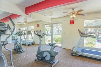 gym  - Photo Gallery 24