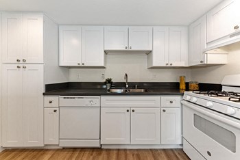 895 Sierra Vista Drive Studio-2 Beds Apartment for Rent - Photo Gallery 3