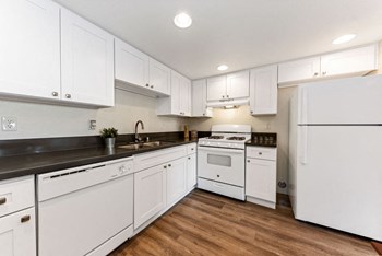 895 Sierra Vista Drive Studio-2 Beds Apartment for Rent - Photo Gallery 2