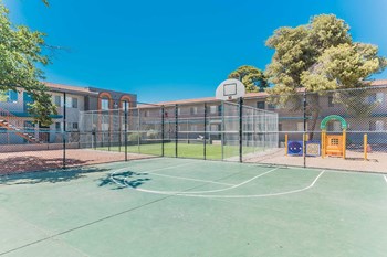 basketball court - Photo Gallery 6
