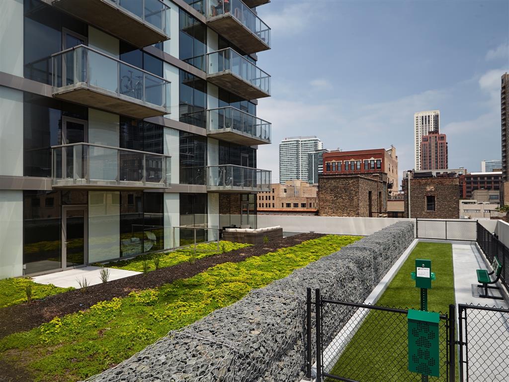 Apartments for Rent in West Loop, Chicago, IL | Catalyst