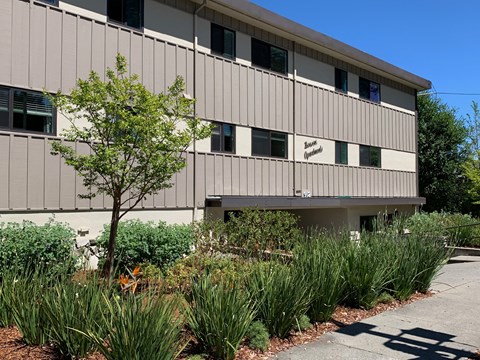an office building with a sidewalk and plants in front of it