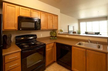 Kitchen l Tressa Apartments in Seattle WA - Photo Gallery 3