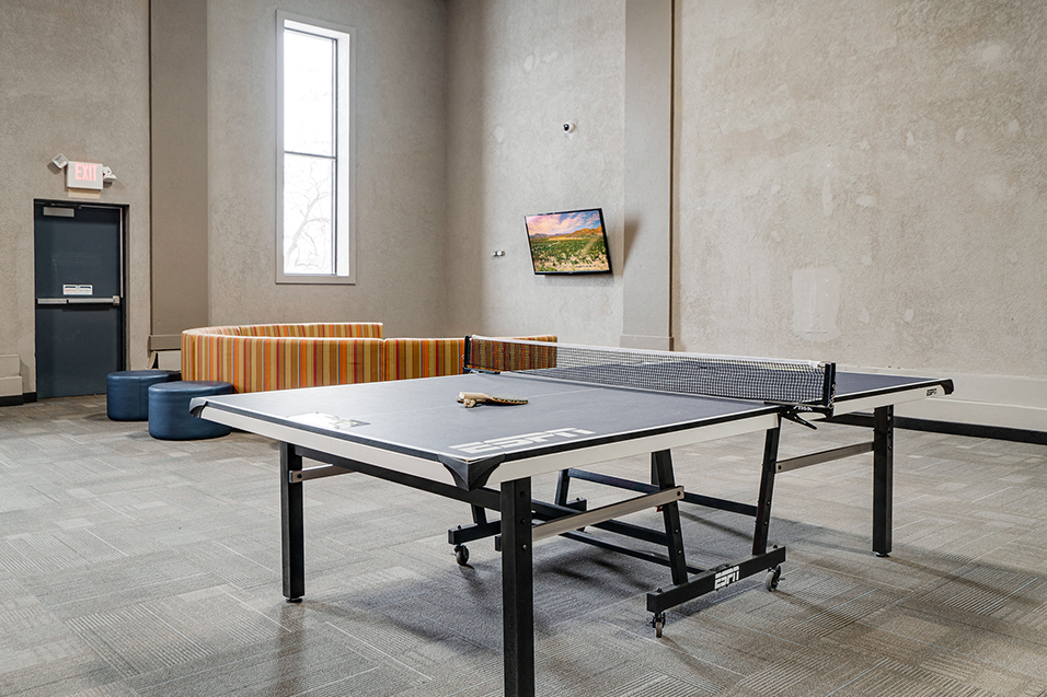 ping pong table