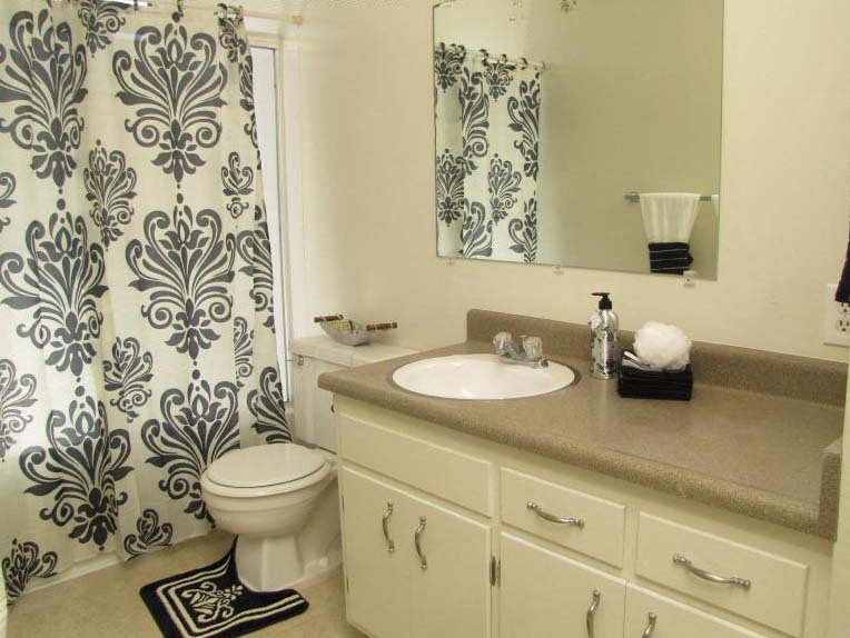 Bathroom vanity and shower