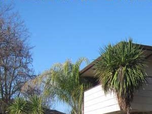 Portable Storage Moving Services In Modesto Ca 1 800 Pack Rat