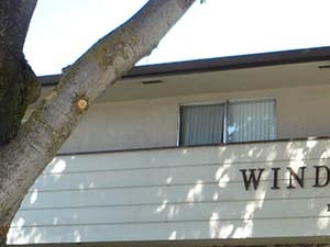Windsor Apartments Building with Sign