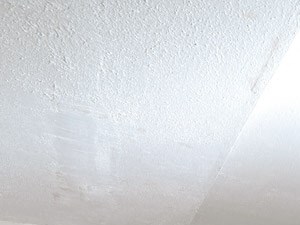 Hardwood Flooring at Berkshire Peak Apartments in Pittsfield, MA. - Photo Gallery 3
