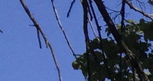 Southwood Square Apartments Apartments In Stamford CT Southwood Square Apartments Apartments In Stamford CT