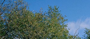 Apartments For Rent In Easthampton Massachusetts Apartments For Rent In Easthampton Massachusetts