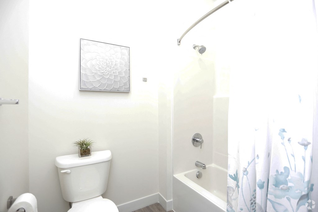 a white bathroom with a shower and a toilet